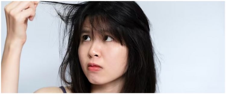 Rambut kusut jadi halus dan mudah diatur, trik optimalkan kondisioner ini cuma ditambah 1 jenis minyak