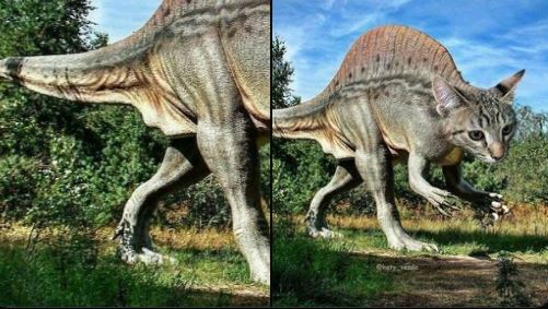 11 Potret kocak editan tebak-tebakan gambar hewan ini jawabannya kocak nggak ketebak