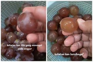 Cuma butuh 5 menit, begini trik cepat menghilangkan lapisan lilin pada anggur pakai 2 bahan dapur