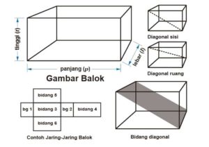 Rumus luas jaring-jaring balok, beserta pengertian, ciri, dan contoh soalnya