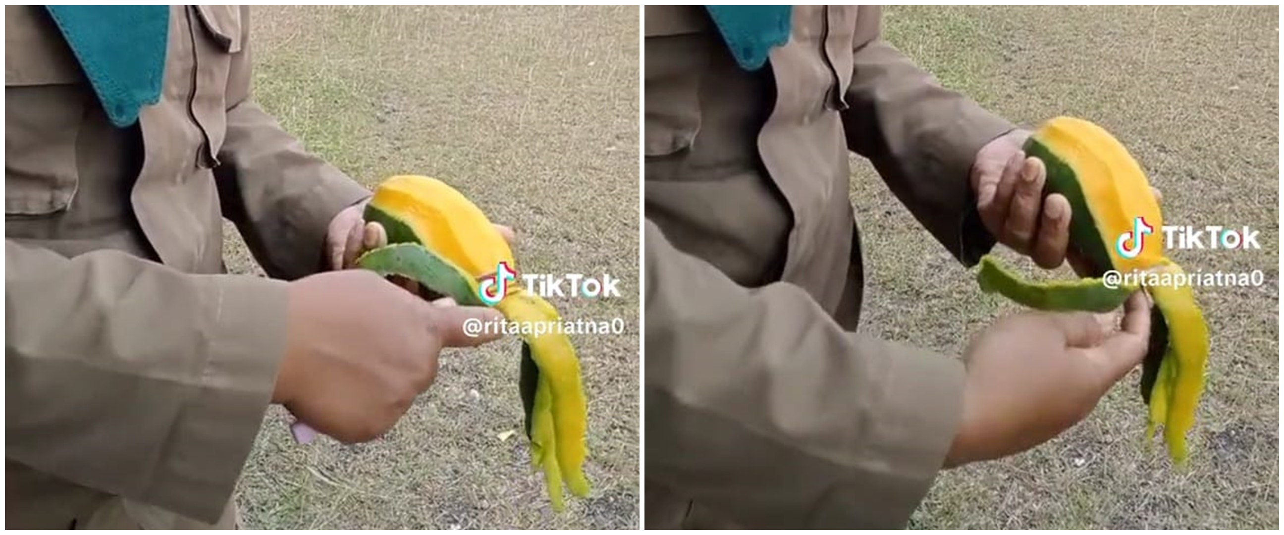 Cara wanita kupas mangga nggak pakai pisau ini sulit ditiru, skillnya di luar nalar