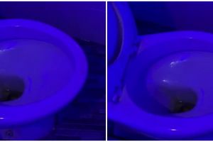 Toilet di atas gedung ini viewnya cakep banget, buang hajat bisa lihat pemandangan seisi kota