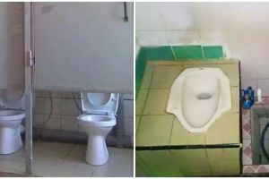 13 Potret toilet berdesain nyeleneh ini bikin yang kebelet malah pengin ngamuk