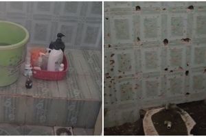 Renovasi kamar mandi sempit 1x1,5 meter low budget jadi estetik, nggak ada WC tapi bikin lega