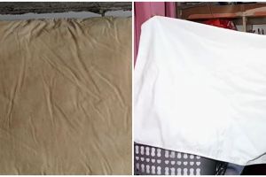 Tanpa dioles pemutih, begini cara bersihkan bantal dekil agar antibau apek pakai 1 bahan dapur