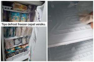 Cuma butuh 15 menit, begini cara cepat dan aman cairkan bunga es tanpa kipas atau disiram air