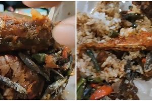 Waspada pas beli nasi bungkus, pria dapat lauk porsi besar ini bukannya untung endingnya malah buntung