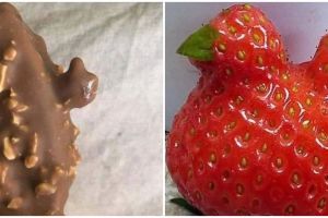 11 Potret kebetulan pada makanan ini aslinya produk gagal tapi malah kocak