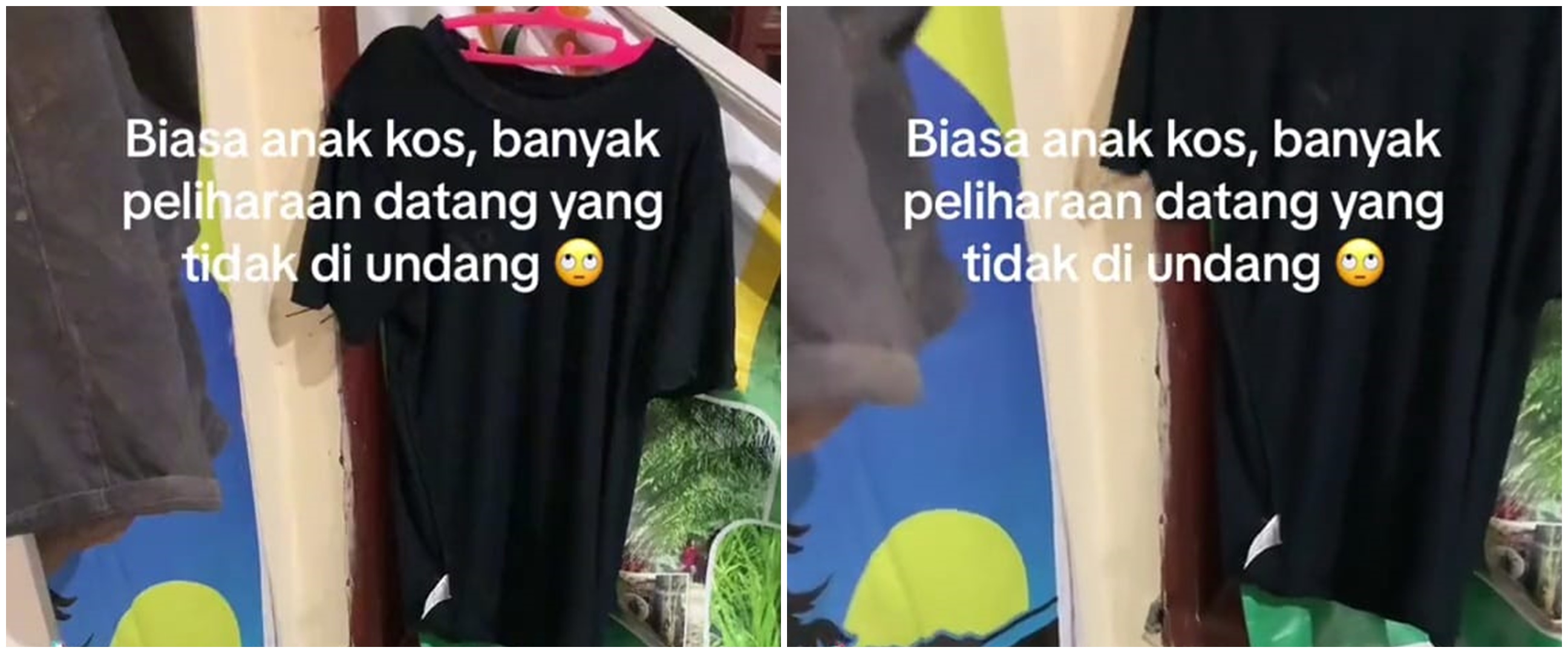 Momen kocak pria temukan hewan tak terduga di indekos ini bikin bingung cara ngusirnya