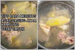 Bukan pakai daun pepaya, ini trik rebus ayam kampung agar empuk dan antiamis cuma tambah 2 bumbu dapur
