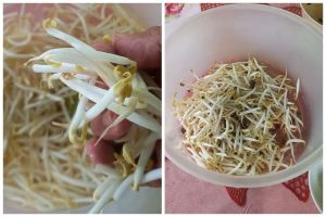 Tanpa asam gelugur, ini cara menyimpan tauge agar tetap segar dan tak menghitam hingga seminggu