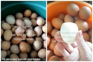 Tak perlu ditambah garam atau cuka, ini trik merebus telur agar hasilnya tidak retak dan mudah dikupas