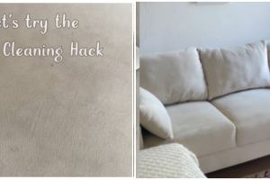 Nggak bikin malu kalau dilihat tamu, begini cara hilangkan noda membandel di sofa pakai tutup panci