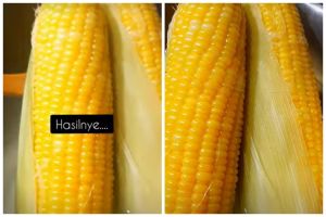 Cara merebus jagung agar rasanya semakin manis dan berwarna kuning cerah, rahasianya pada 2 bahan ini