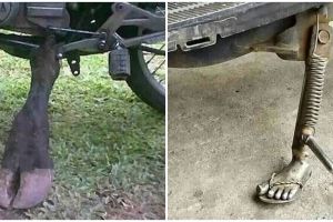 11 Potret lucu standar motor ini bentuknya anti mainstream abis, kreativitasnya kelewat absurd