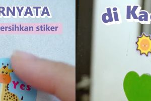 Bukan pakai alkohol, cara bersihkan stiker di dinding dan kaca tanpa bekas noda pakai 1 jenis minyak