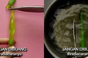 Bukan pakai kawat, ini cara bikin hanger baju cuma pakai 1 bahan sederhana