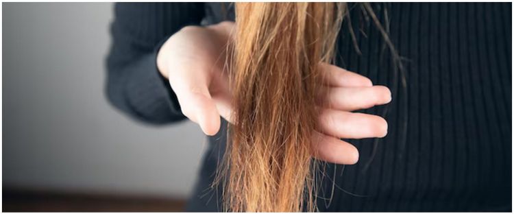 Tanpa minyak kelapa, ini cara atasi rambut kering dan kusam pakai kondisioner dari 2 jenis tanaman