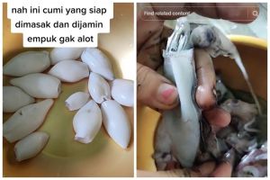 Tak perlu baking soda, ini trik mengolah cumi agar semakin empuk dan tidak amis pakai 1 bumbu dapur