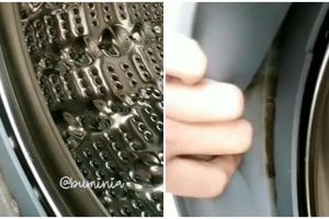 Trik mudah bersihkan jamur di karet mesin cuci cuma pake satu bahan, hasilnya auto kinclong