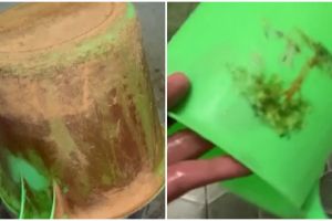 Tanpa diberi detergen, ini cara bersihkan gayung buluk jadi glowing bak baru pakai 1 jenis cairan