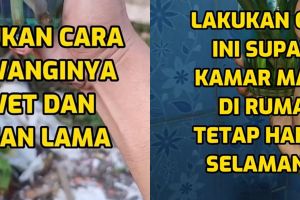 Cukup tambah 1 jenis minyak, ini cara bikin kamar mandi bau jadi auto wangi seharian