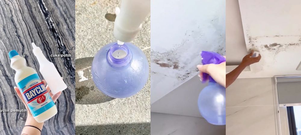Cukup tambah 1 bahan dapur, ini trik hilangkan jamur di plafon yang dicat warna putih