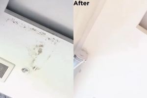 Cukup tambah 1 bahan dapur, ini trik hilangkan jamur di plafon yang dicat warna putih