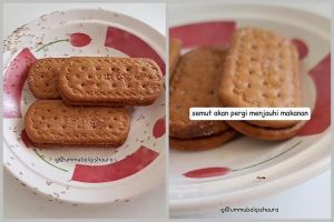 Tak perlu dibunuh, ini cara ampuh mengusir semut di makanan cuma pakai 1 bahan dapur