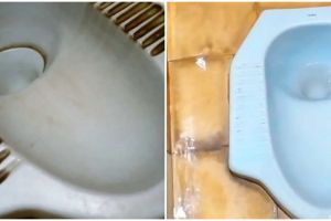 Jangan pakai cairan pemutih, ini trik simple bersihkan kloset yang berkerak andalkan 1 jenis bebatuan