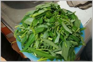 Bukan garam atau baking soda, ini cara mencuci kangkung agar bebas ulat cuma pakai 1 bahan dapur