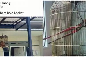 11 Potret kocak penampakan dalam sangkar ini definisi orang gabut banyak tingkah, nyeleneh abis