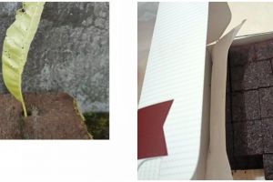 11 Potret kocak orang jualan online ini dagangannya absurd abis, yang lihat auto naik pitam