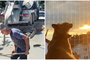 11 Potret kocak kebetulan dijepret dari samping ini menipu mata, perlu dilihat dua kali baru paham