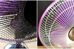 Tanpa dibongkar pasang, ini cara bersihkan kipas angin yang berdebu jadi kinclong pakai 2 bahan dapur