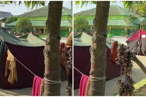 Alih-alih pakai tenda kemah murid ini gunakan barang nyeleneh saat Persami, berasa lagi kondangan