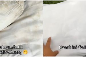 Tanpa capek disikat, ini cara bersihkan bantal yang menguning dan berjamur pakai 1 bahan makanan
