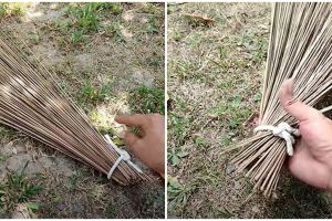Jangan diikat, cara mudah atasi sapu lidi agar tidak mudah lepas dan patah pakai dua barang bekas