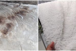 Bukan pakai cuka, ini cara bersihkan karpet buluk jadi putih kinclong dengan 1 tambahan penguat rasa