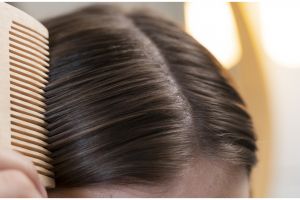 Bukan pakai kapur barus, ini cara optimalkan sampo untuk hilangkan kutu rambut pakai 1 jenis daun