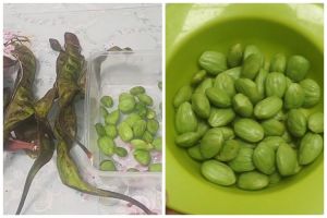 Trik mengembalikan petai yang keriput dan teksturnya lembek jadi segar kembali meski tanpa air es