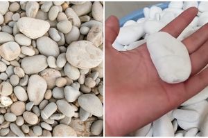 Tak perlu cuci satu-satu dengan sabun, cara mudah dan cepat bersihkan batu koral pakai 1 bahan dapur