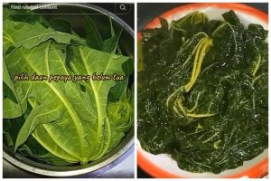 Tak perlu tanah liat, ini trik ampuh menghilangkan rasa pahit daun pepaya cuma pakai 3 bahan dapur