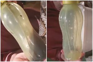 Tanpa sikat dan sitrun, begini trik ampuh mencuci botol minum agar kinclong seperti baru