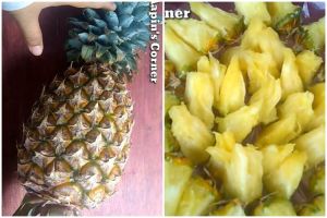 Tanpa pisau, begini cara mengupas kulit nanas cuma pakai 1 alat sederhana