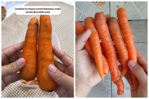 Tak perlu direndam air, ini trik menyimpan wortel agar awet berminggu-minggu pakai 1 ampas dapur