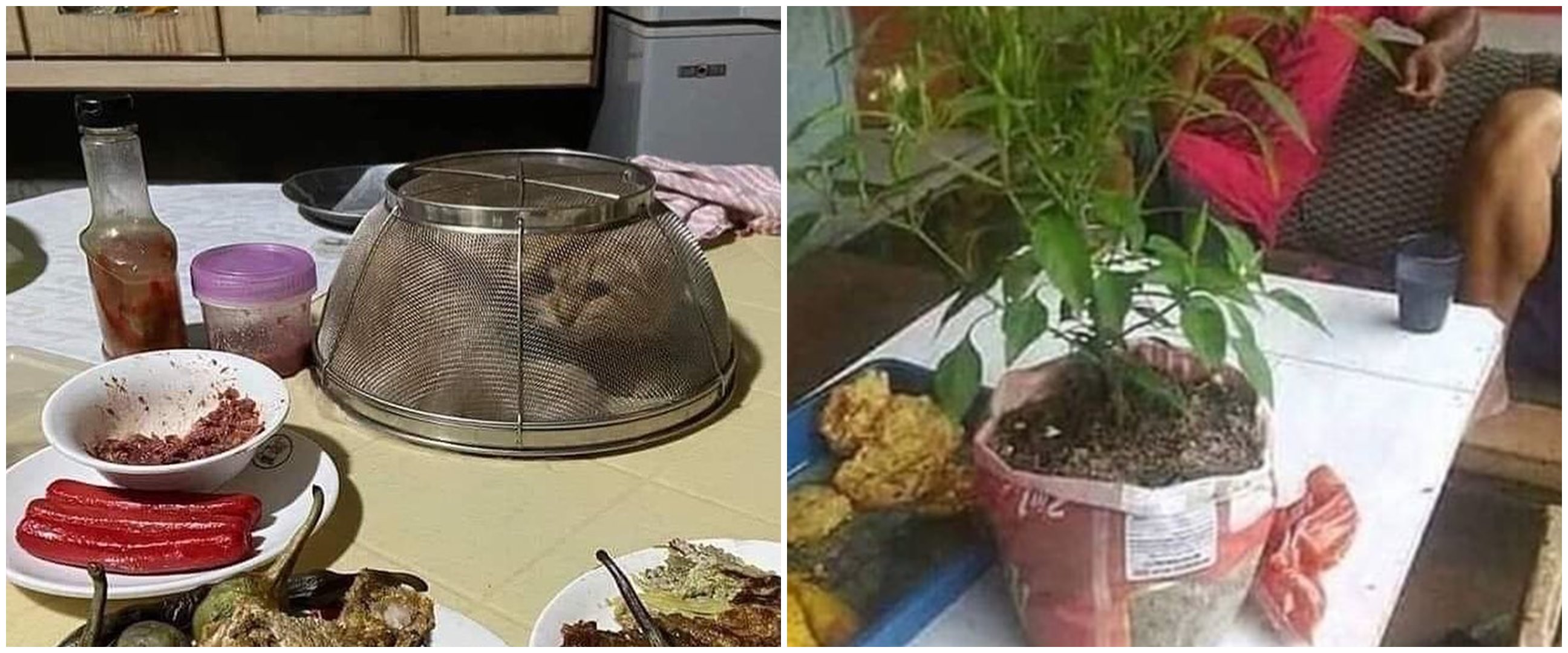 11 Potret kocak ada yang janggal di meja makan ini bikin mikir keras