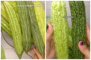 Tak perlu diremas garam, ini cara ampuh hilangkan rasa pahit pare cuma pakai 2 bahan dapur