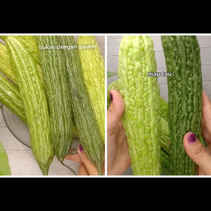 Tak perlu diremas garam, ini cara ampuh hilangkan rasa pahit pare cuma pakai 2 bahan dapur
