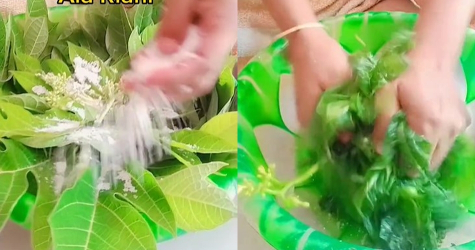 Trik jitu mengurangi rasa pahit daun pepaya andalkan satu bumbu dapur